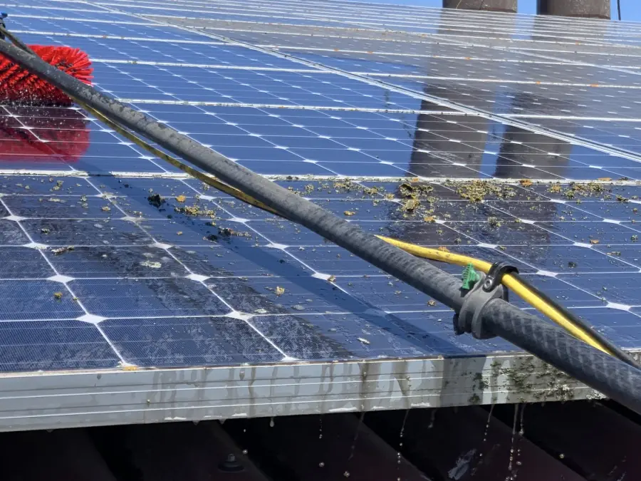 Reinigung verschmutzter Photovoltaikmodule